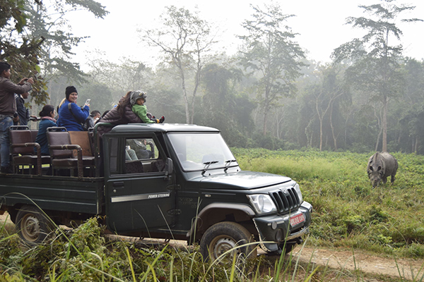 Jeep Drive Safari